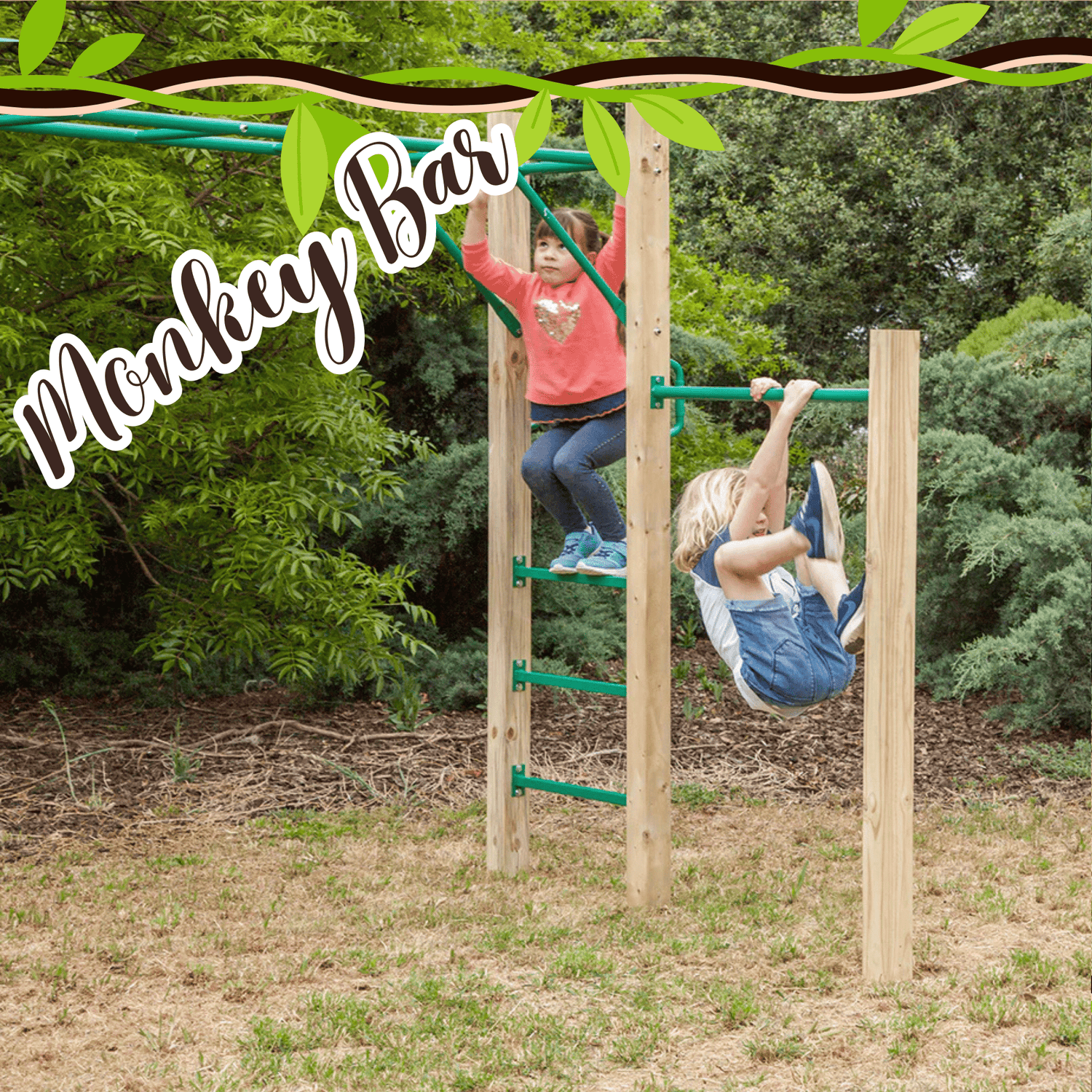 Monkey Bar Gyms