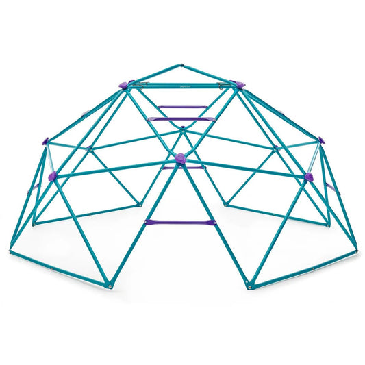 Plum® Phobos Metal Climbing Dome - Teal/Purple