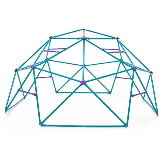 Plum® Phobos Metal Climbing Dome - Teal/Purple