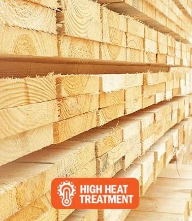 Wesley Double Swing With Trapeze