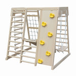 Indoor Climbing Play Gym with Slide & Swing  - PREORDER