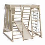 Indoor Climbing Play Gym with Slide & Swing Frame