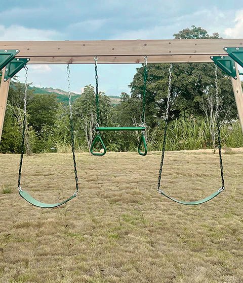Lifespan Kids Daintree 2-in-1 Monkey Bars & Swing Set