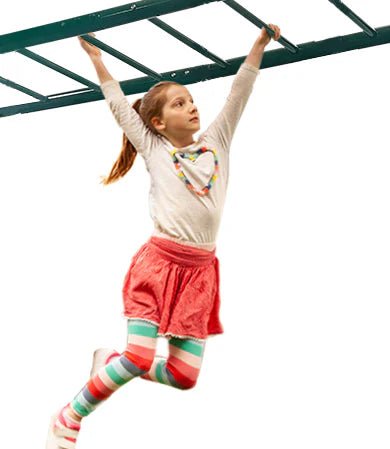 Lifespan Kids Stanley Heavy Duty Monkey Bars with Anchor Kit