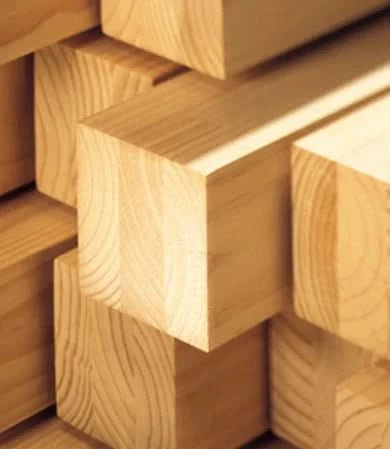 Holt 2-Station Timber Swing Set