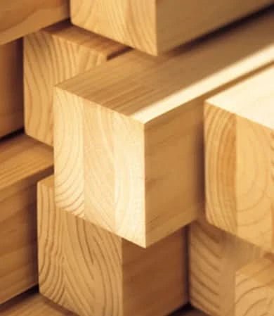 Wesley Double Swing With Trapeze