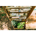 Plum® Discovery Mud Pie Kitchen